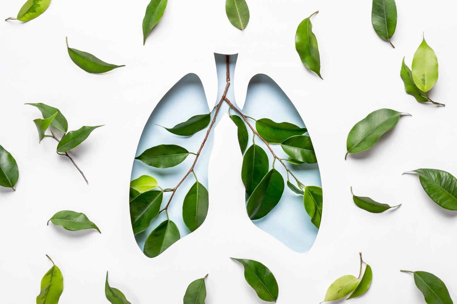 Breathe Easy and Stay Healthy with Natural Life's Lung Clear Supplement: Powerful Natural Ingredients for Clearing Phlegm and Boosting Immunity!