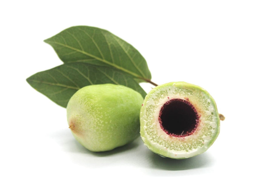 Introducing the Ultimate Skin Revitalizer The Miraculous Kakadu Plum