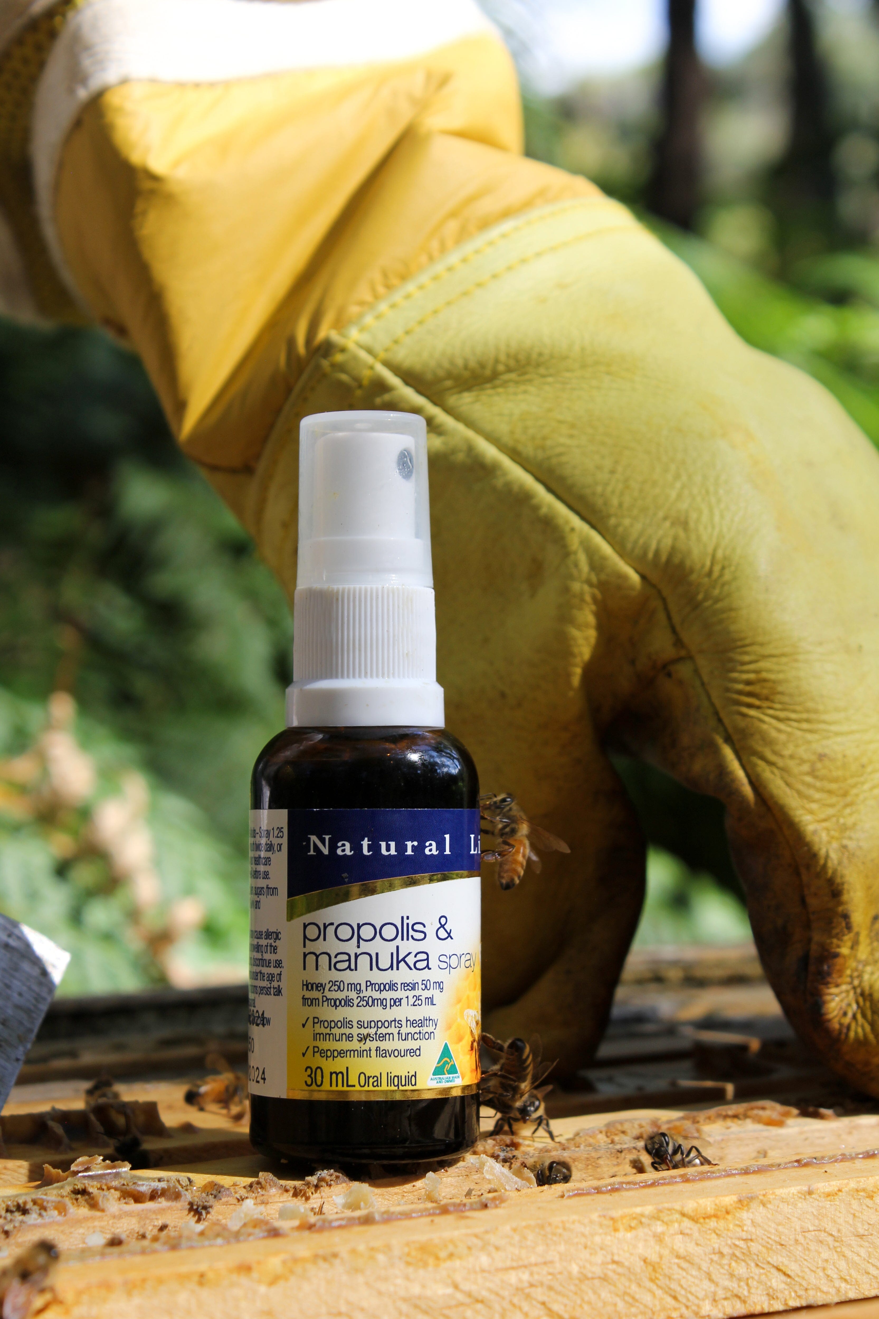 What Are the Benefits of Propolis?