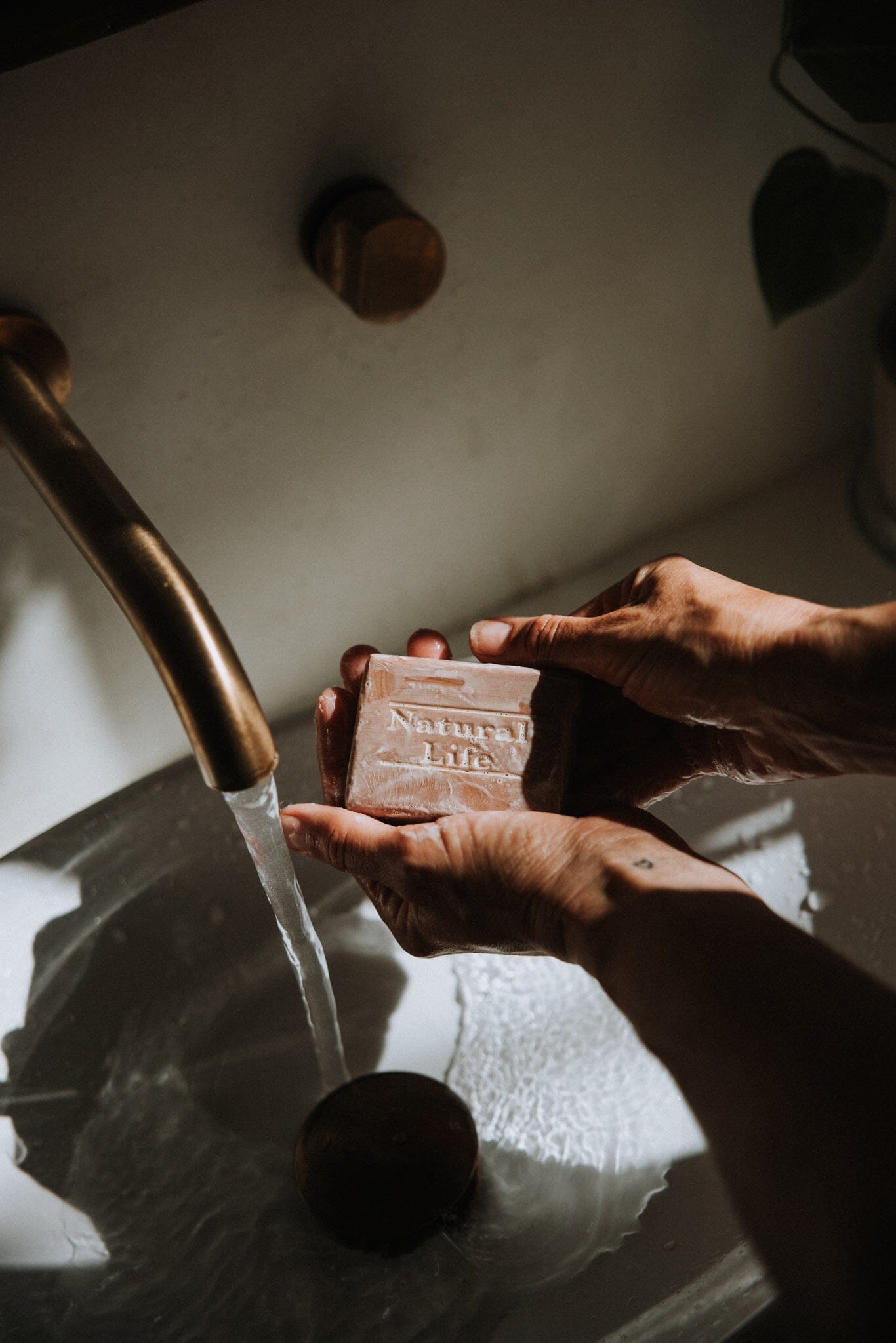 Propolis Skin Benefits: Nature’s Original Protective Barrier