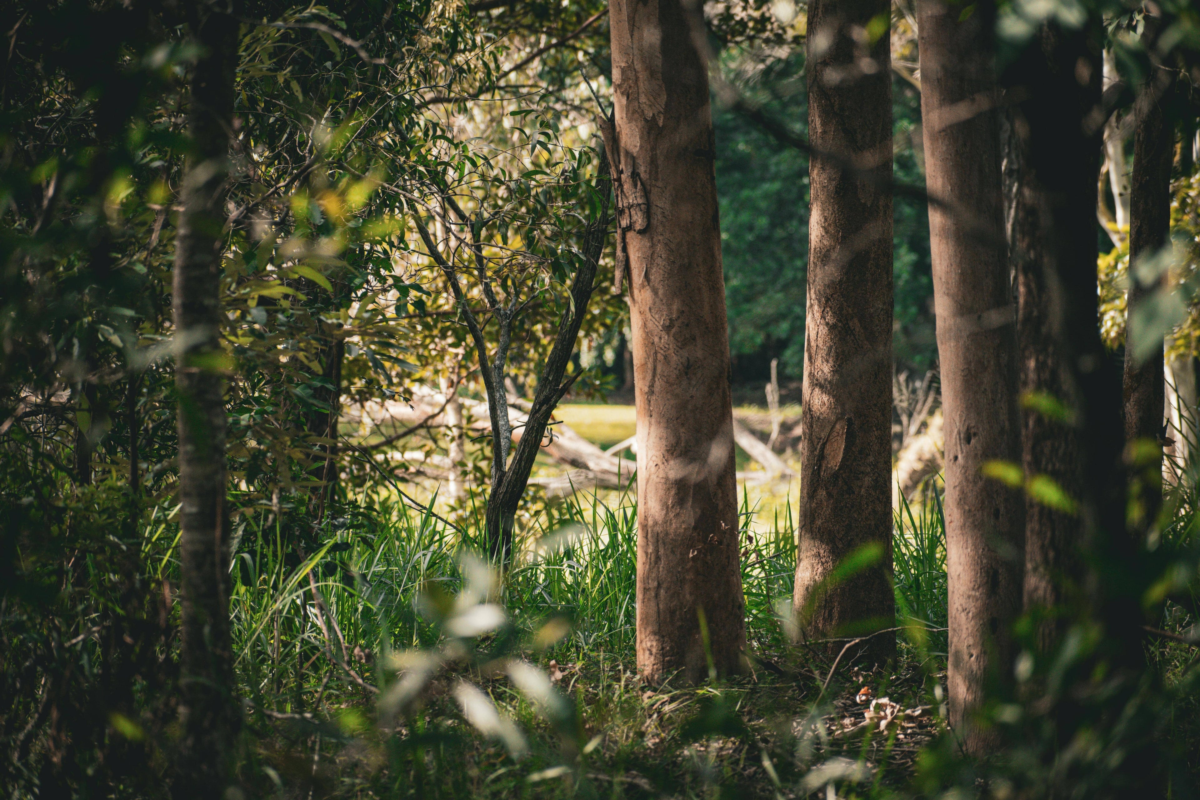 Lady holding a jar of Australian Manuka Honey