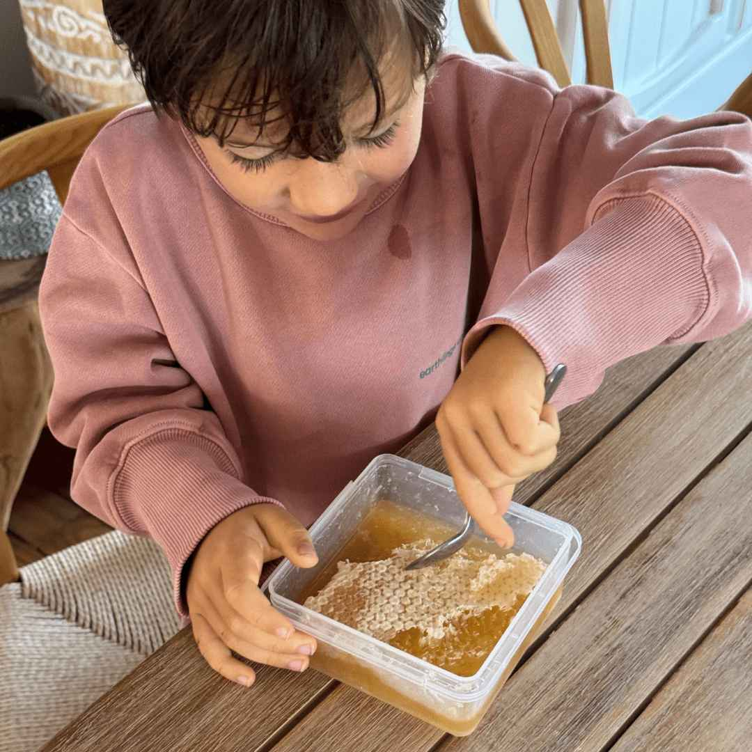 Raw Australian Honeycomb 400g