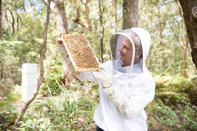 Why is Natural Life the best in the bee health business?