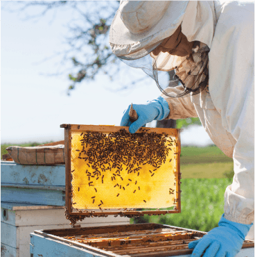 7 Skin Benefits of Propolis Extract That You Never Knew