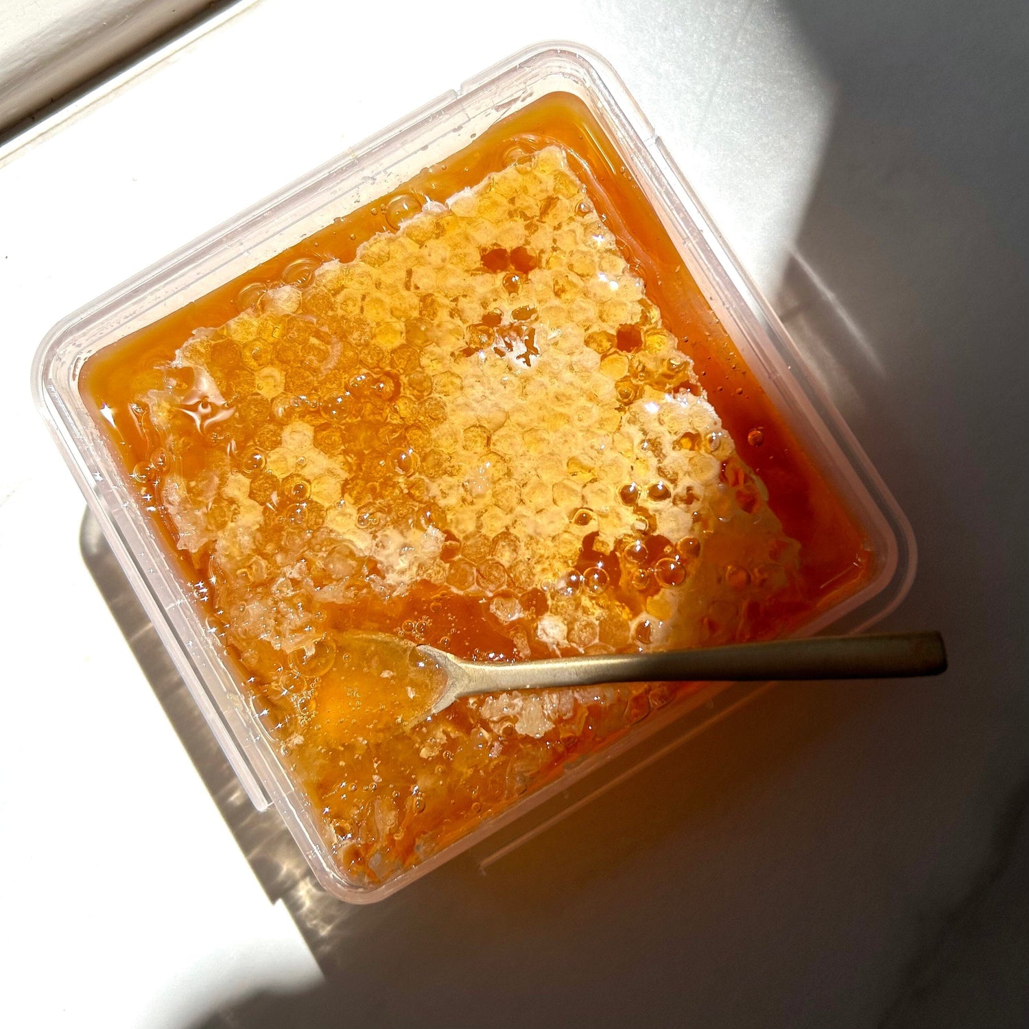 What Is Honeycomb Made Of? The Science and Beauty of Beeswax