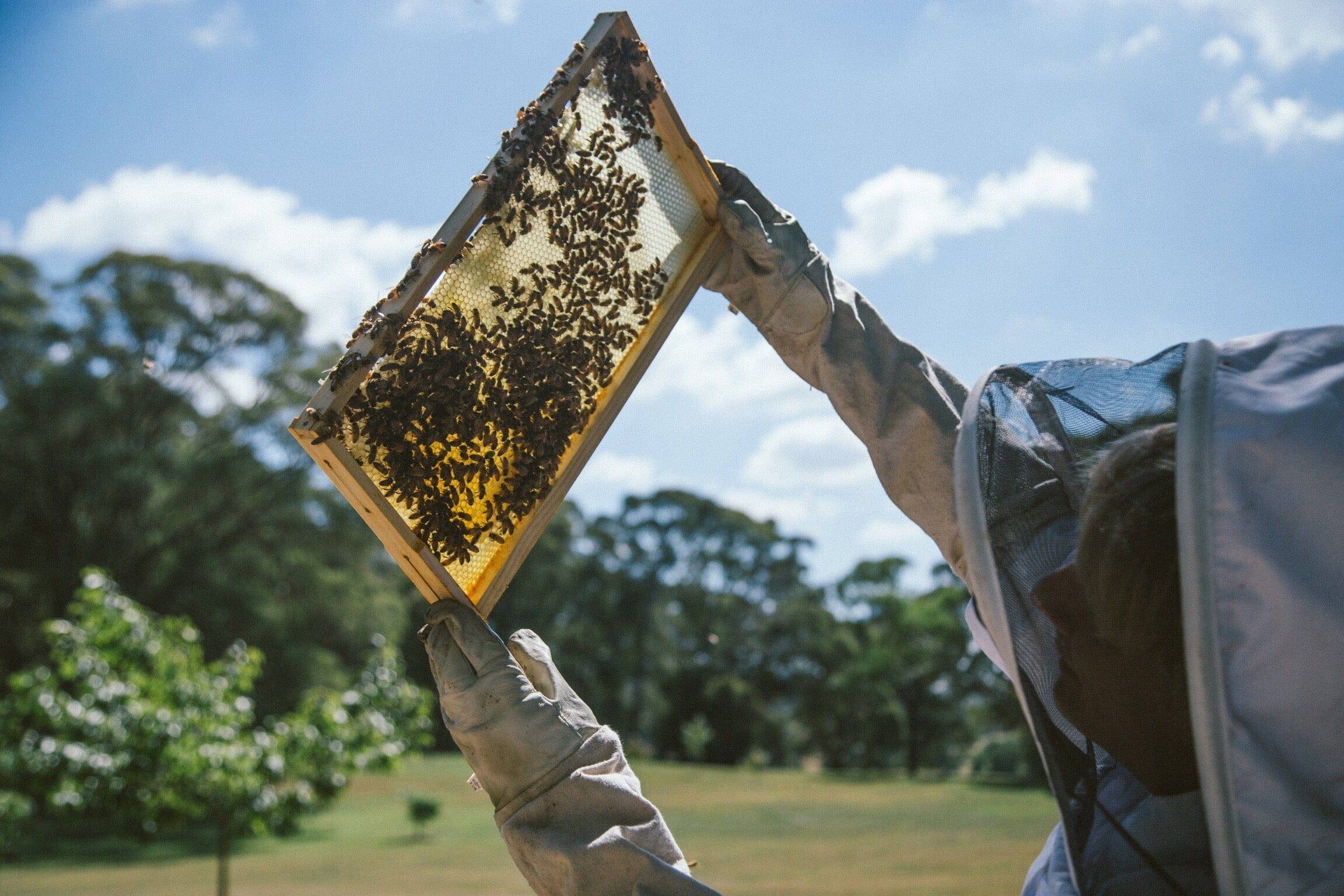 Beekeeper with hive