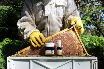 Propolis - Benefits, Uses & More.