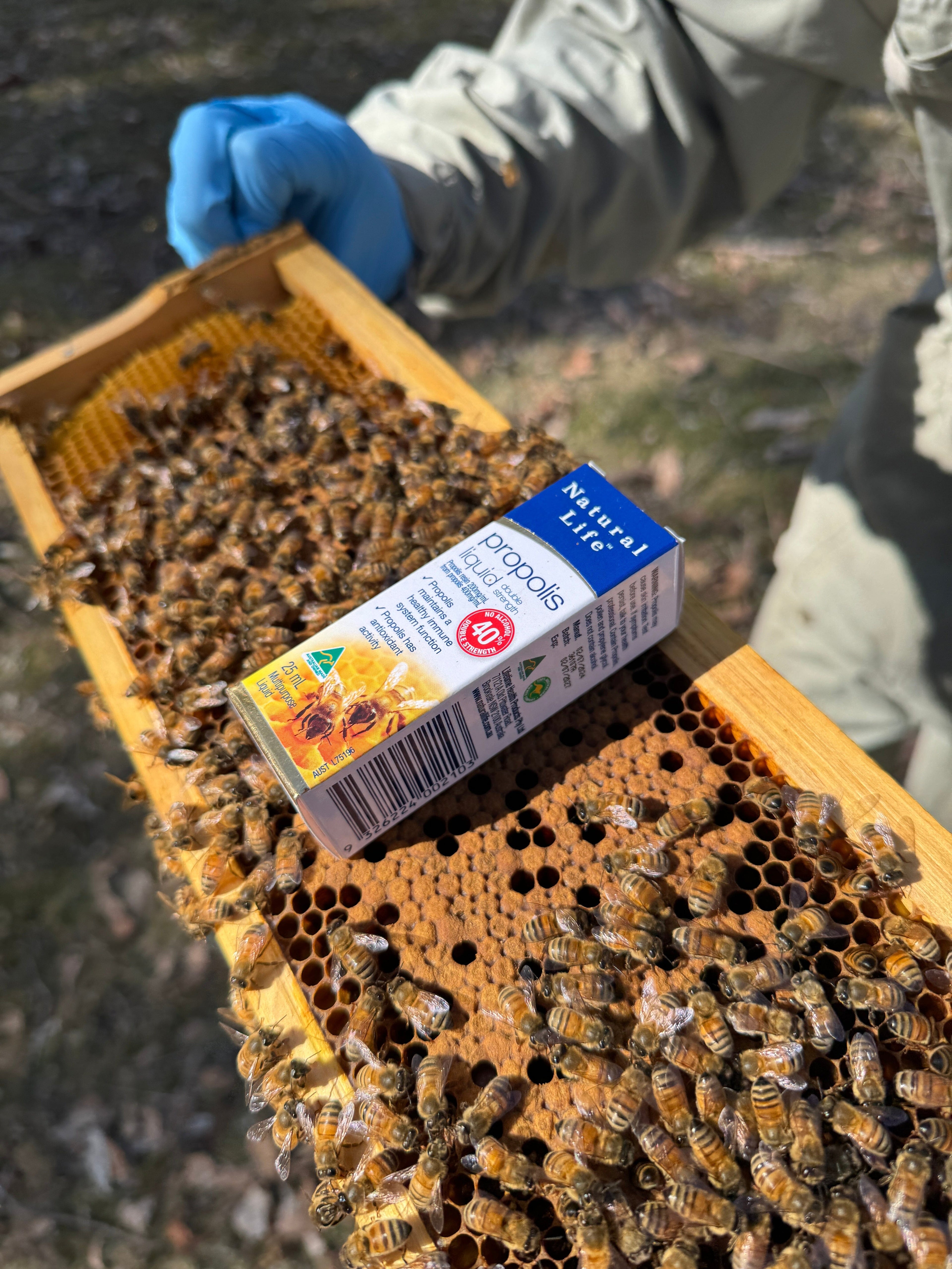 Natural Life Propolis Liquid Drops