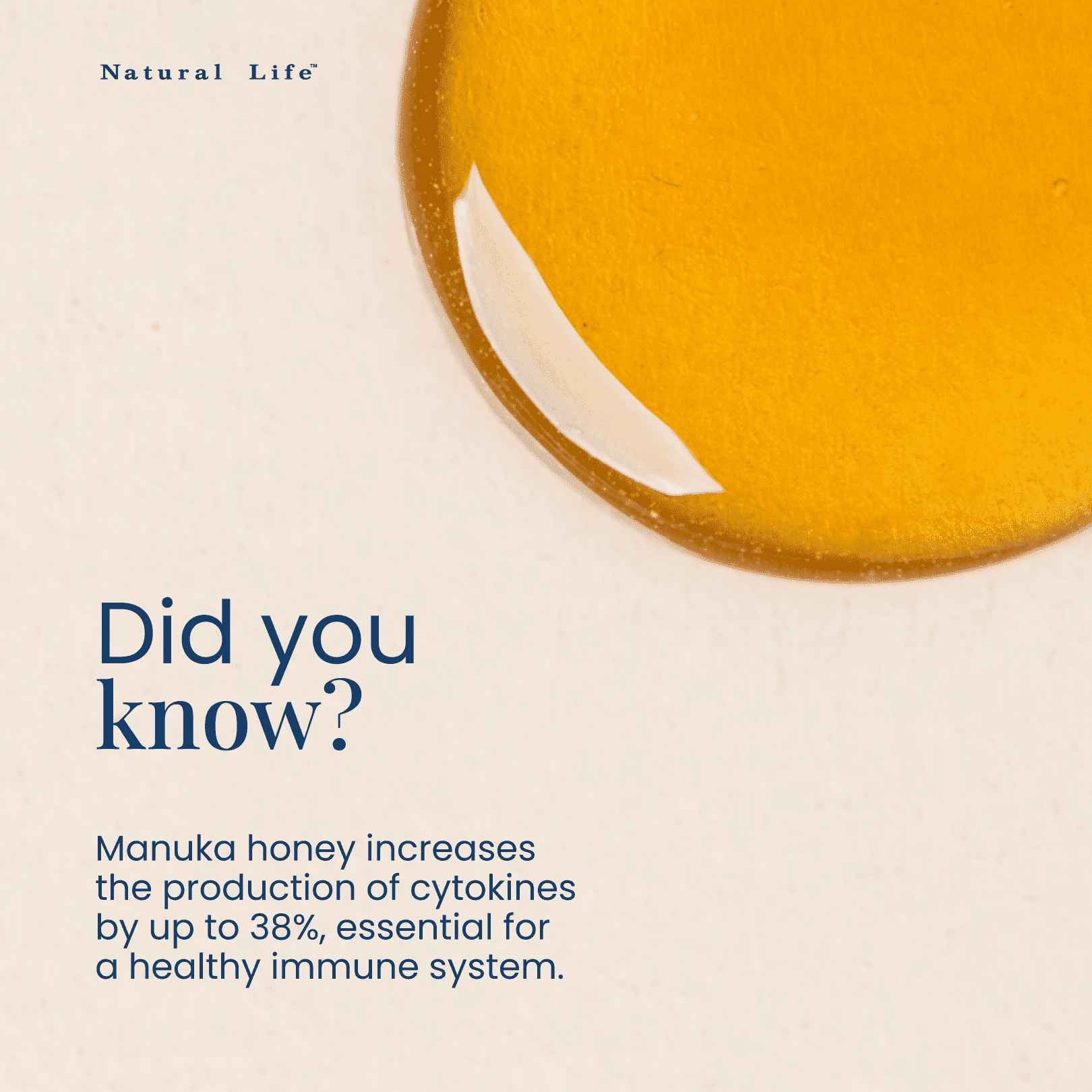 Manuka Honey MGO 800