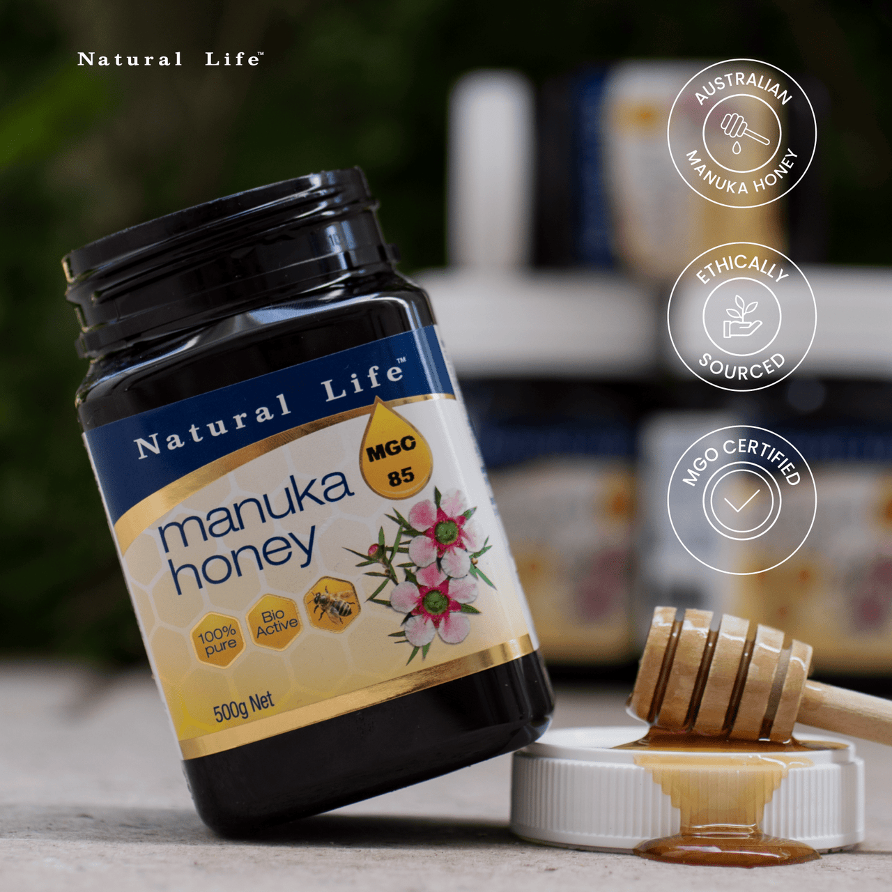 Manuka Honey MGO 85 Manuka Honey Natural Life™ Australia 