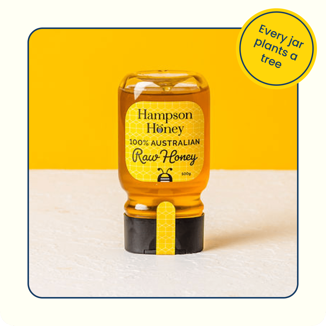 Hampson Honey Squeeze Jar 500g Natural Life Australia 