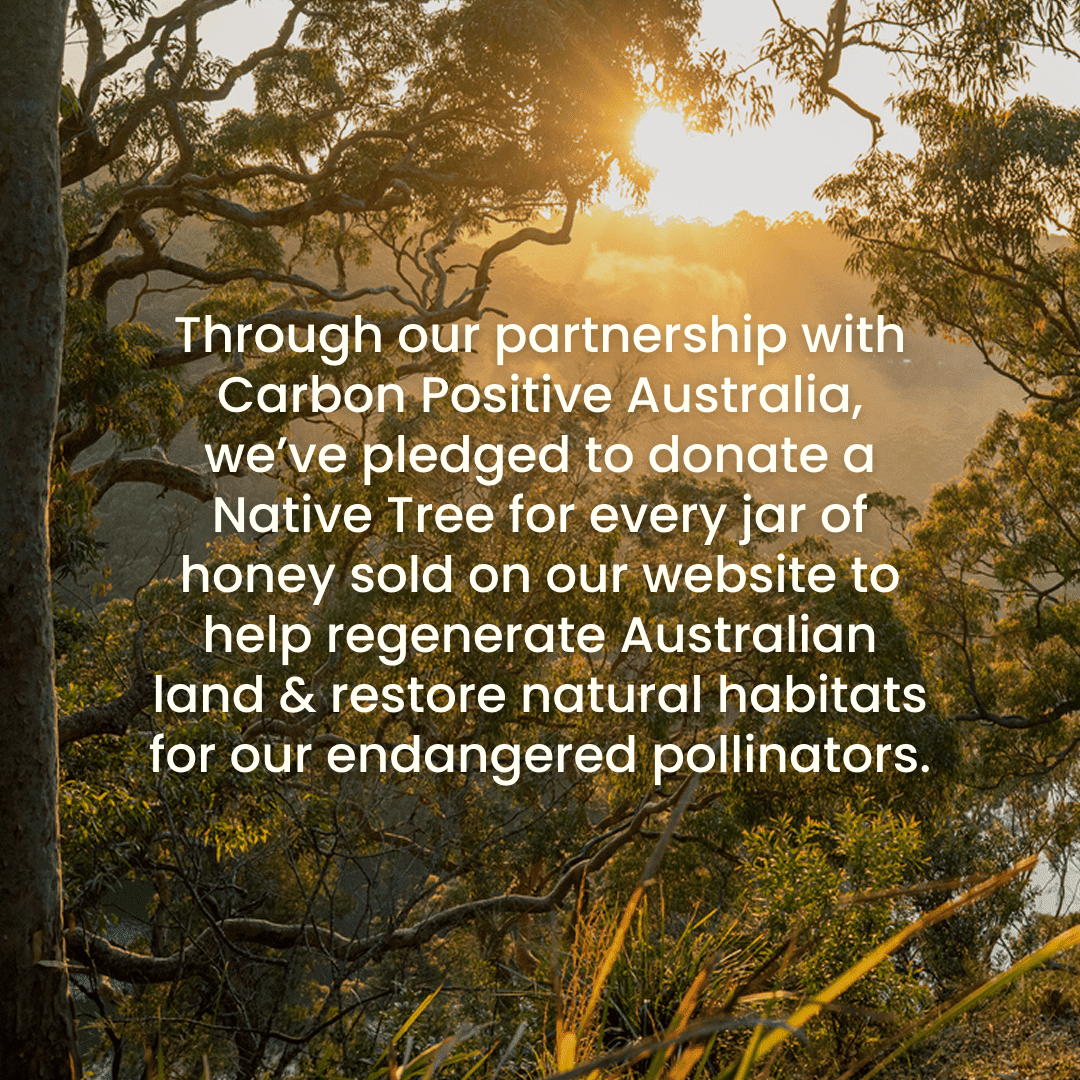 Australian Manuka Honey MGO 800 Manuka Honey Natural Life™ Australia 