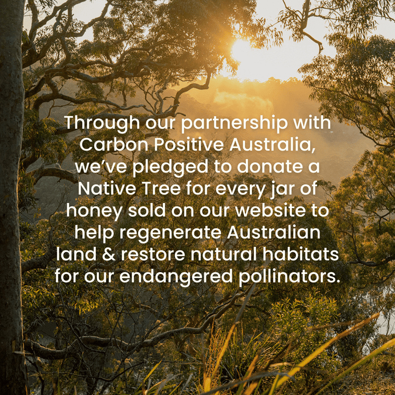 Australian Manuka Honey MGO 800 Manuka Honey Natural Life™ Australia 