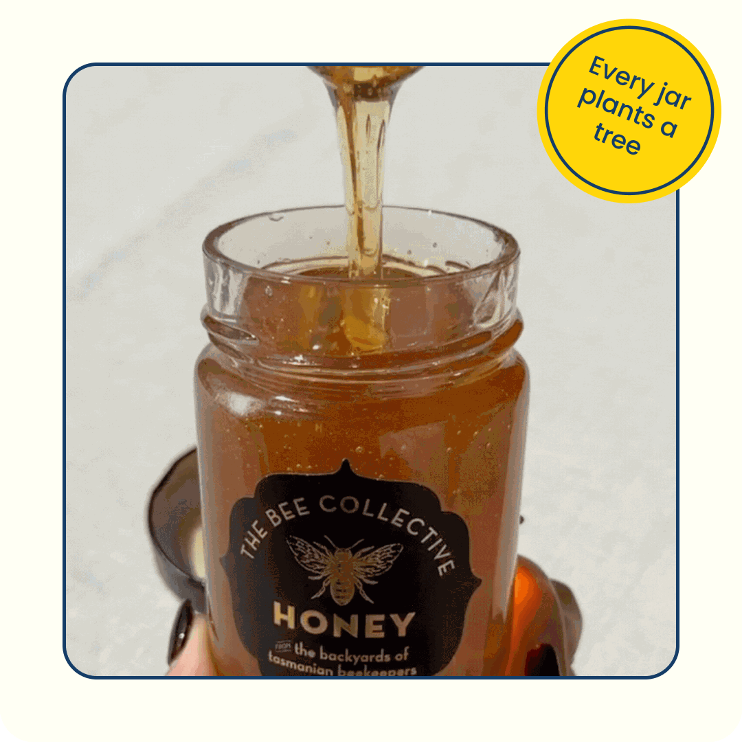 Bee Collective Leatherwood Honey Natural Life Australia 