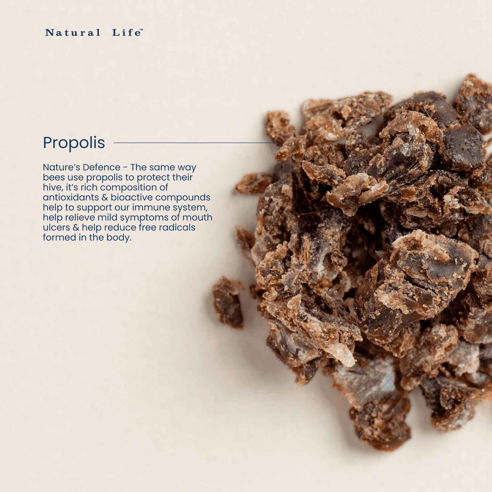 Propolis 1000mg Capsules