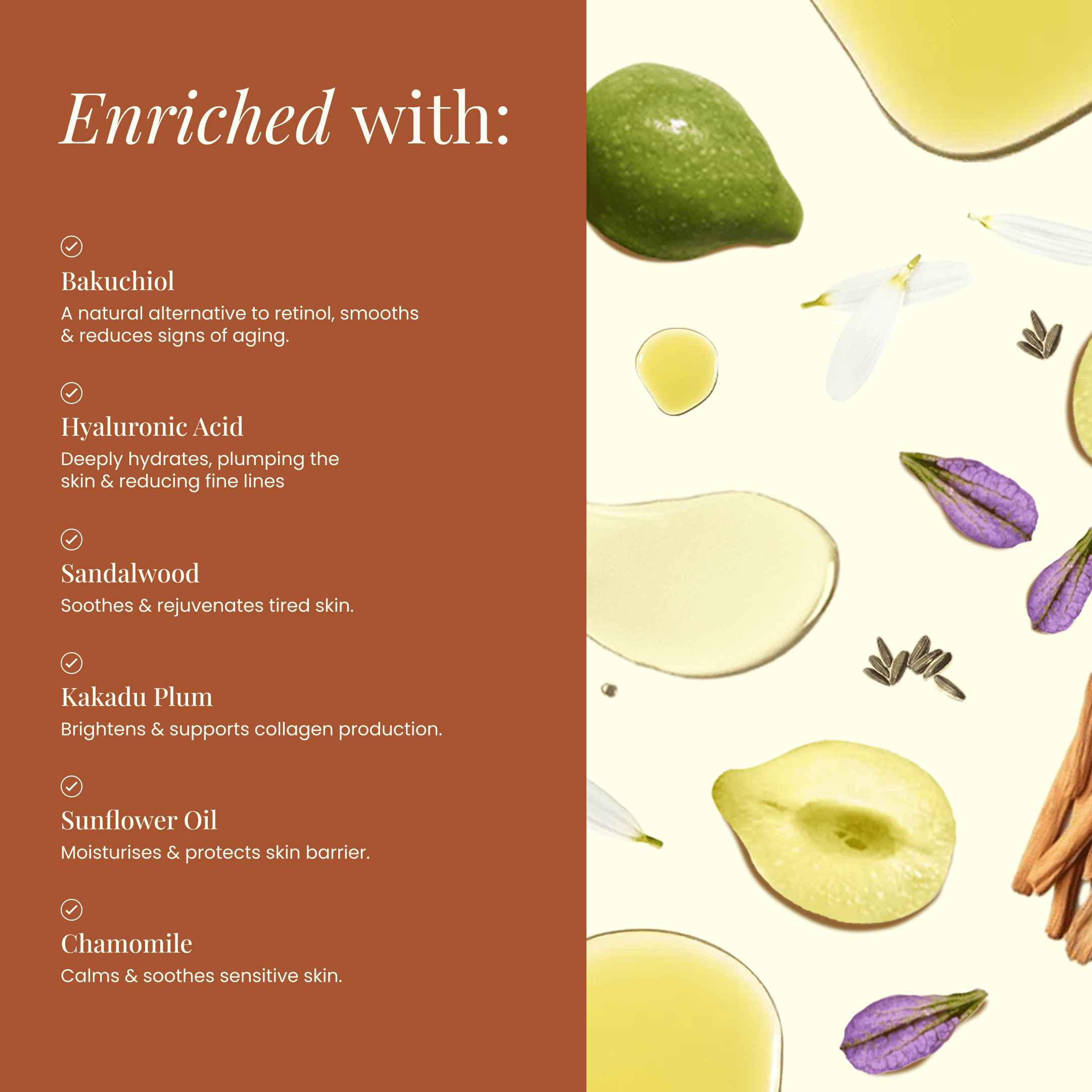 Wild Bee Daily Revive Serum