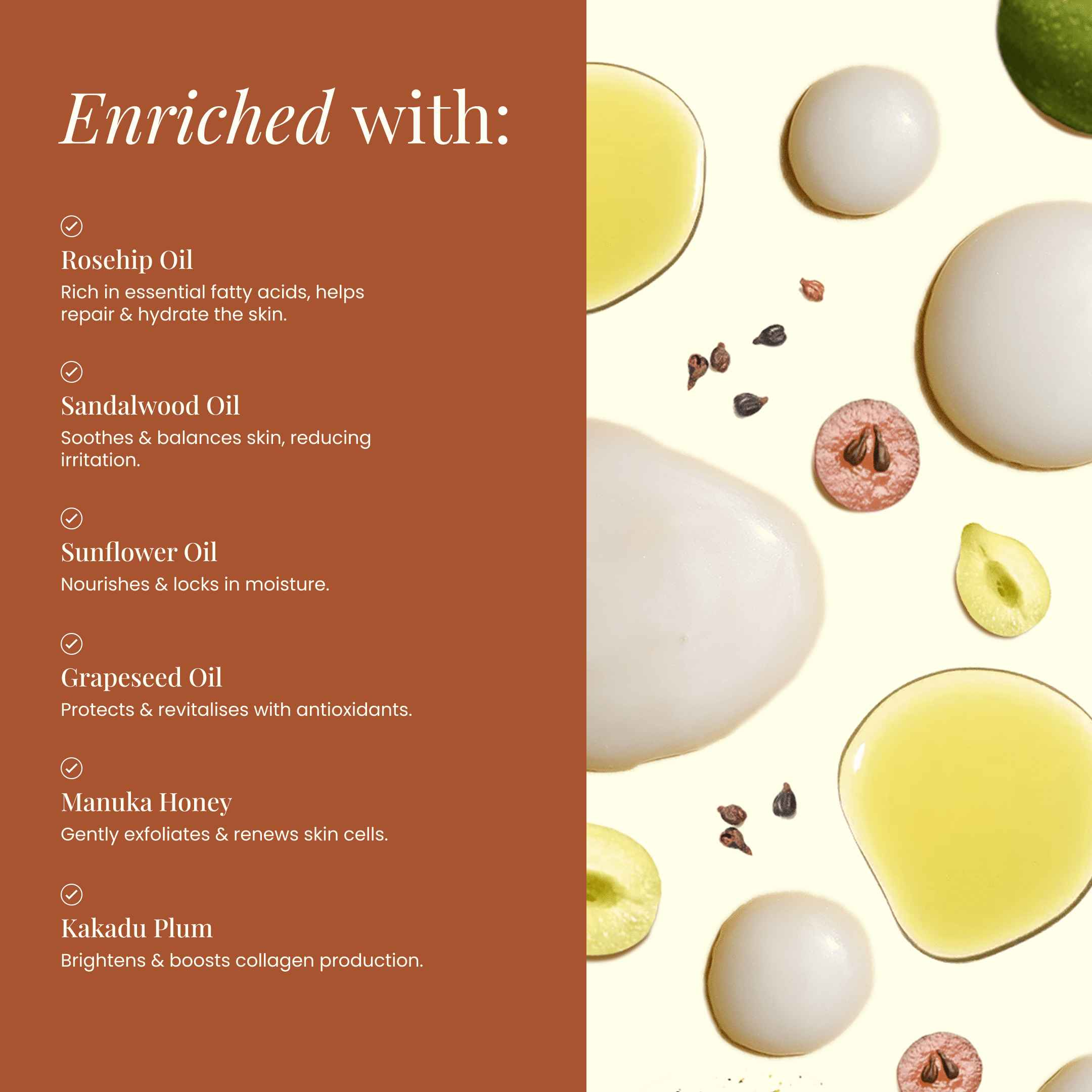 Wild Bee Evening Clear Serum