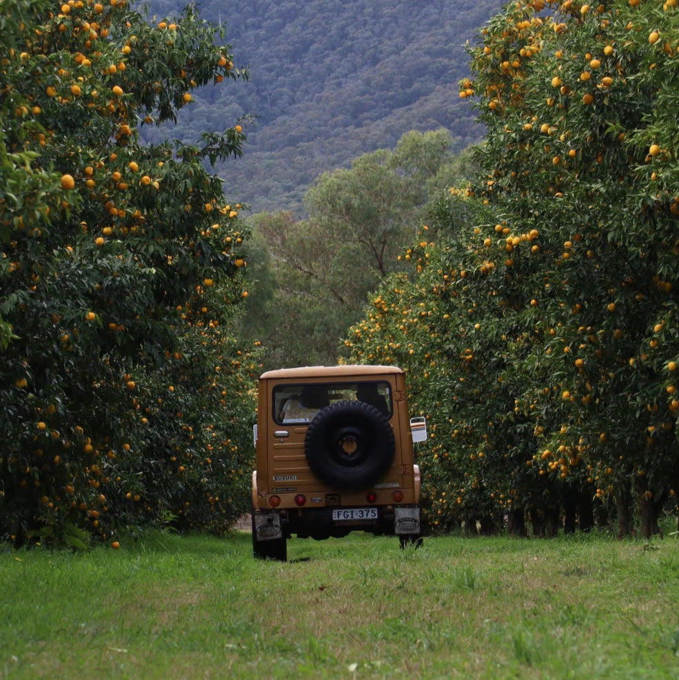 Rooftop Bees Yuzu Honey Natural Life Australia 