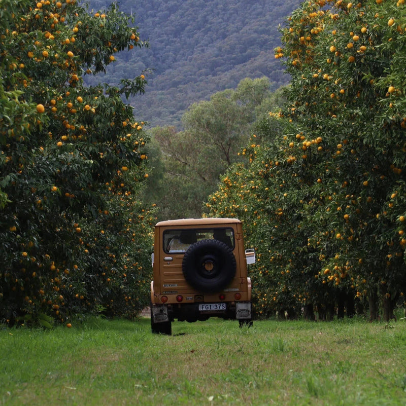 Rooftop Bees Yuzu Honey Natural Life Australia 