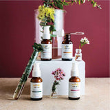 Wild Bee Radiant Skin Serum Set
